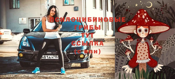 шишки Армянск