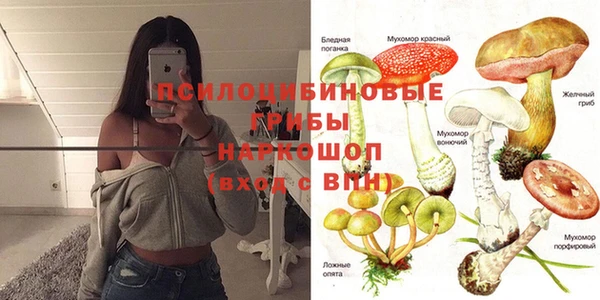 мескалин Алексин