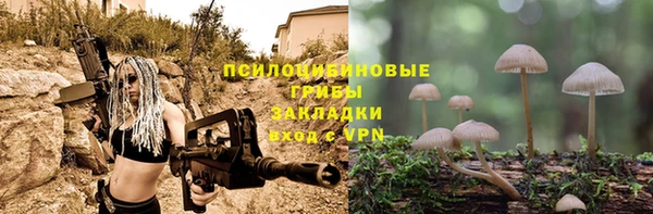 шишки Армянск