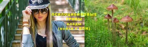 мескалин Аркадак