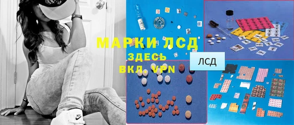 ПСИЛОЦИБИНОВЫЕ ГРИБЫ Алексеевка
