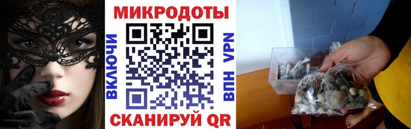 Галлюциногенные грибы Cubensis  Купить закладки  Верхоянск 